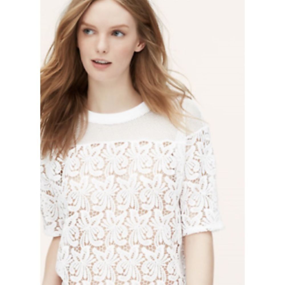 Ann Taylor Loft White Lace Blossom Top Size Small